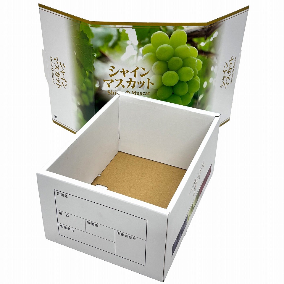 【OSシャインマスカット 1.5kg　10枚入り】   「大切な人に贈る、シャインマスカットギフト用化粧箱」 （AO0202-10）