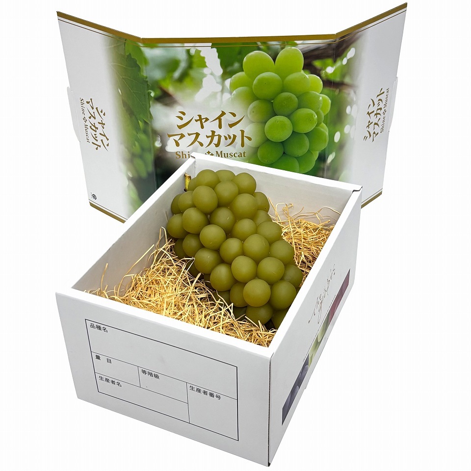 【OSシャインマスカット 1.5kg　10枚入り】   「大切な人に贈る、シャインマスカットギフト用化粧箱」 （AO0202-10）