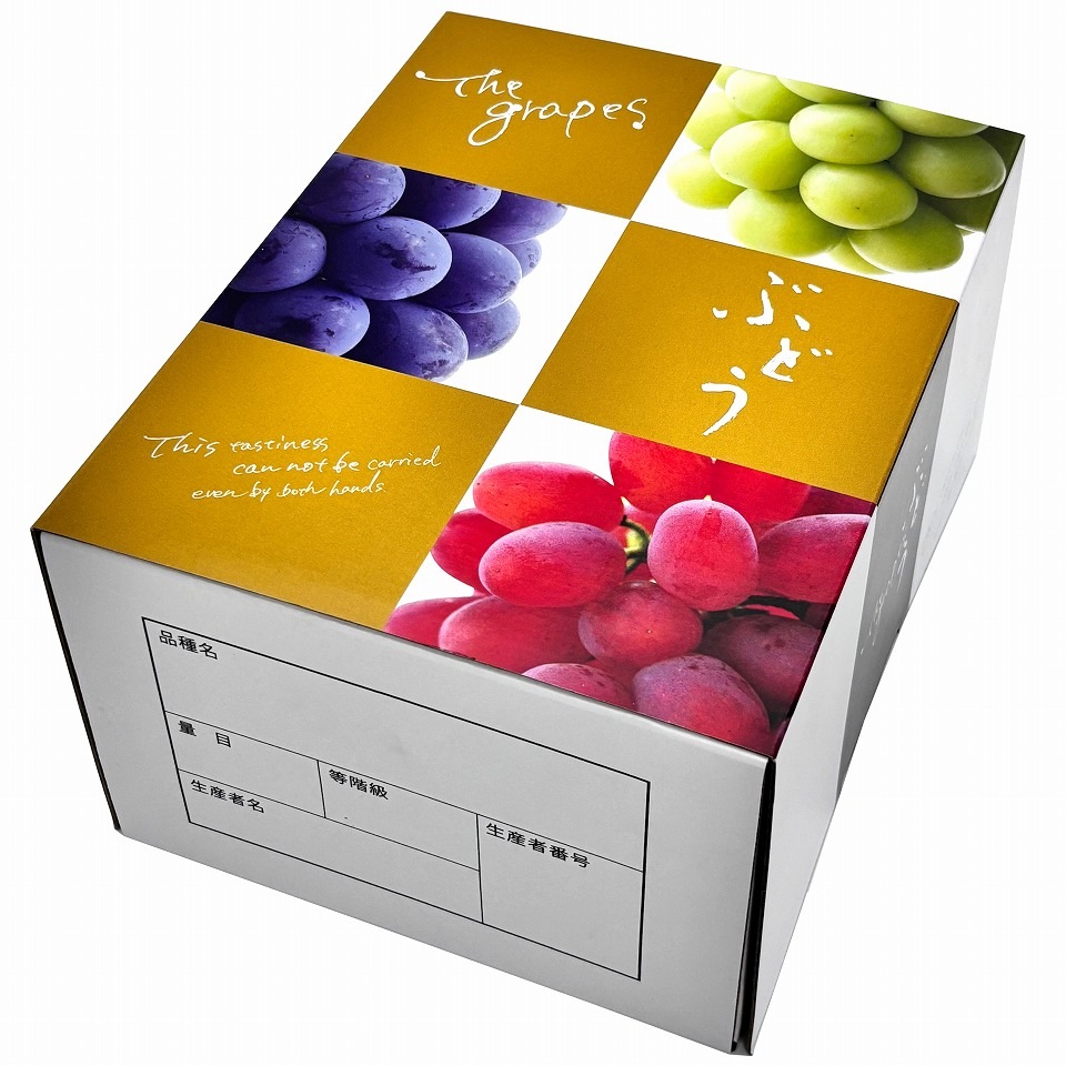 【 OS 3色葡萄 1.5kg 10枚入り】 ブドウ・シャインマスカットギフト用化粧箱 詰め合わせ用 (AO0102-10)