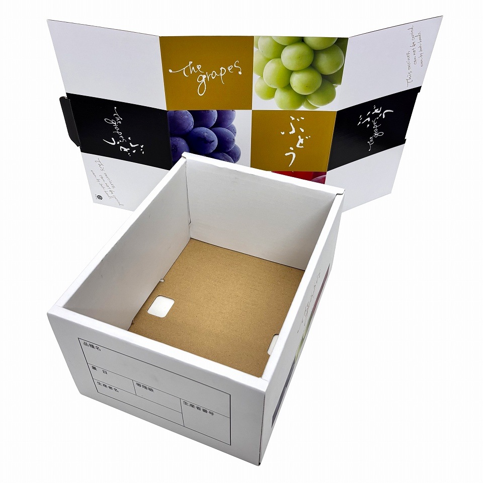 【 OS 3色葡萄 1.5kg 10枚入り】 ブドウ・シャインマスカットギフト用化粧箱 詰め合わせ用 (AO0102-10)