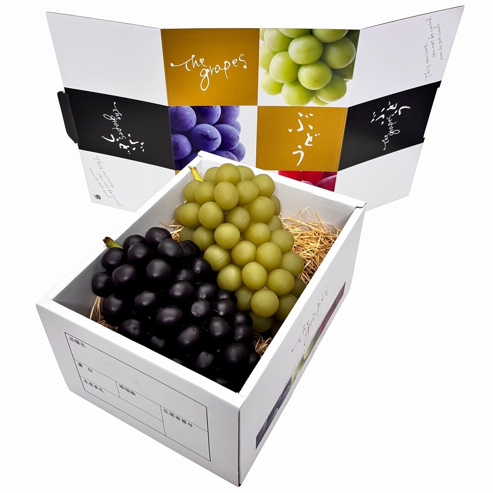 【 OS 3色葡萄 1.5kg 10枚入り】 ブドウ・シャインマスカットギフト用化粧箱 詰め合わせ用 (AO0102-10)