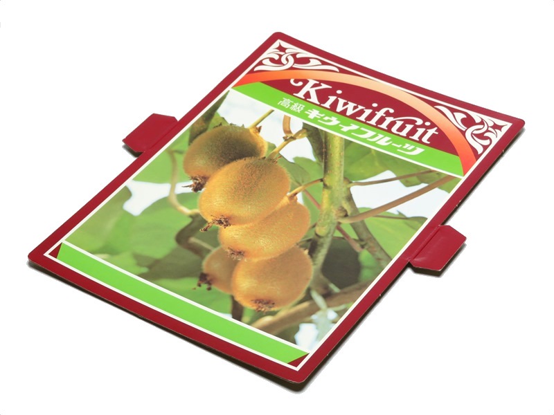 キウイ　1K　化粧箱　100セット/箱