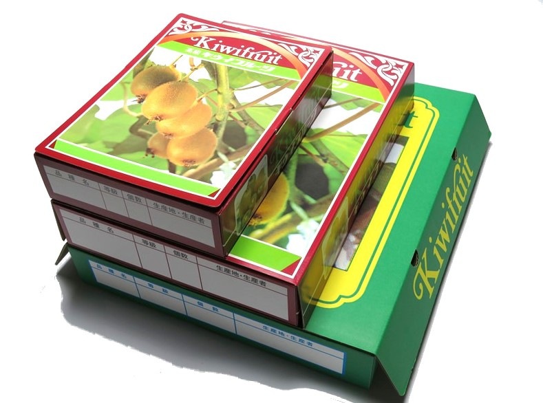 キウイ　1K　化粧箱　100セット/箱