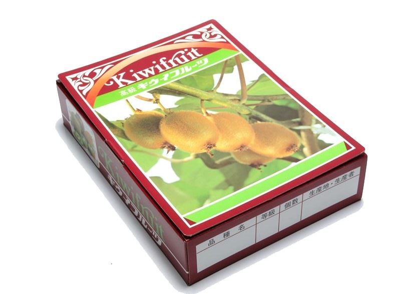 キウイ　1K　化粧箱　100セット/箱