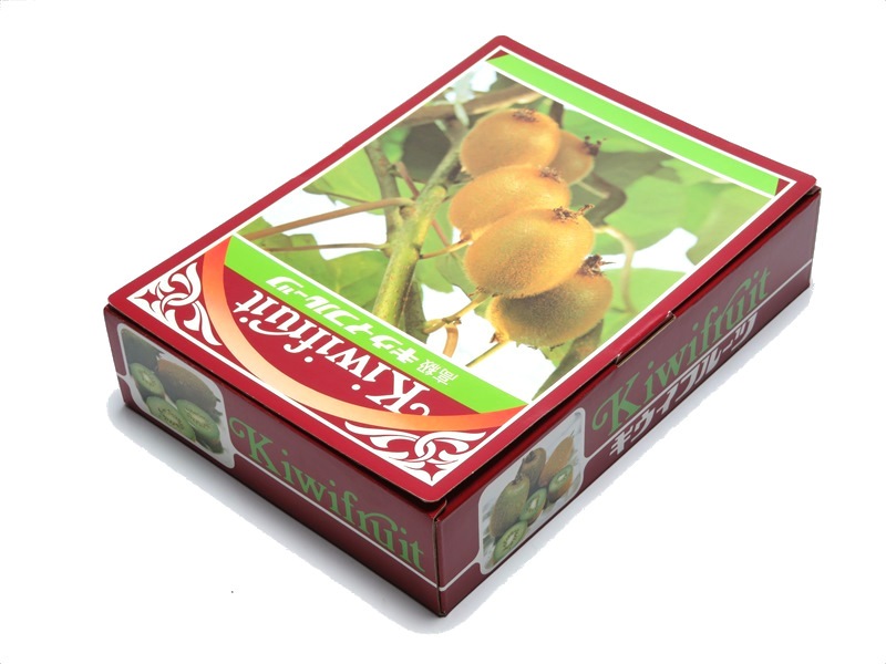 キウイ　1K　化粧箱　100セット/箱