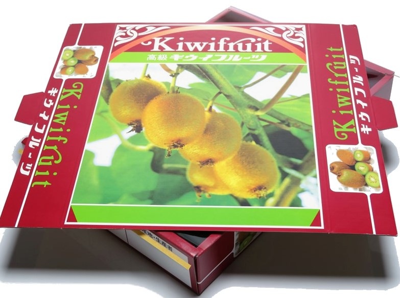 キウイ　2K　化粧箱(OP付)　50セット/箱
