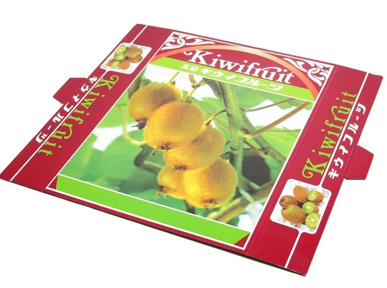 キウイ　2K　化粧箱(OP付)　50セット/箱