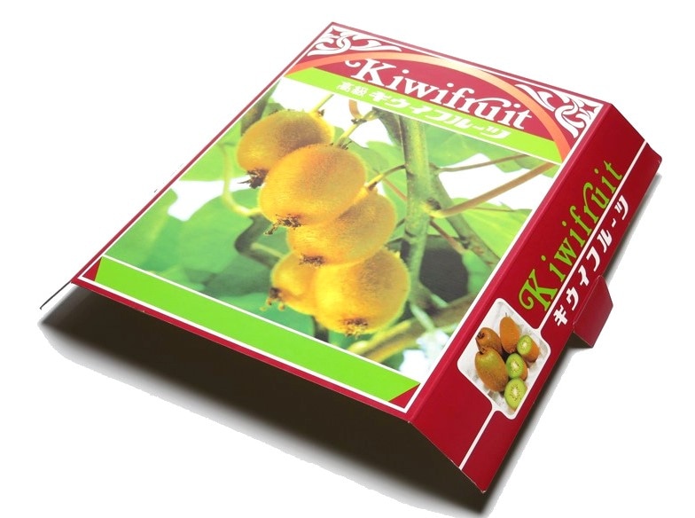 キウイ　2K　化粧箱(OP付)　50セット/箱