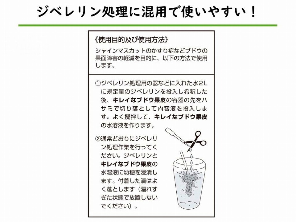 イオニックリキッド 2本入 キレイなブドウ果皮 新機能性肥料 お手軽品!