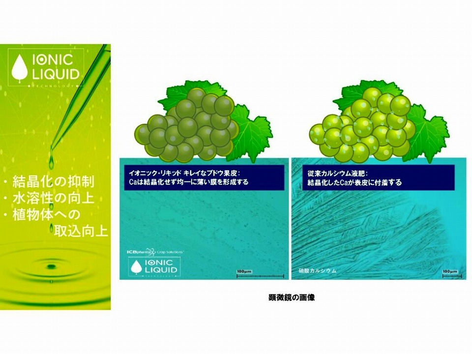 イオニックリキッド　4本入 キレイなブドウ果皮　新機能性肥料　お手軽品！