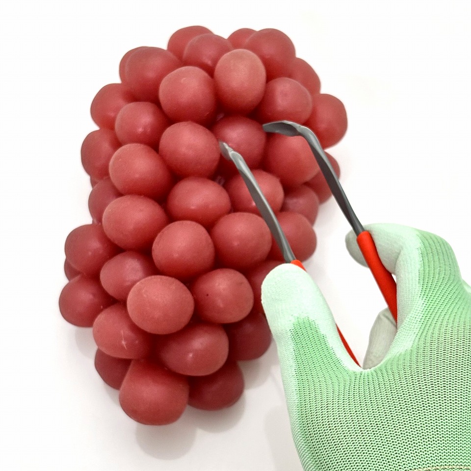 イトウサトミ B品 セット 株式会社エツミ | TOOLS BYOB 13 カメラインサート | ツールズ | テンバ