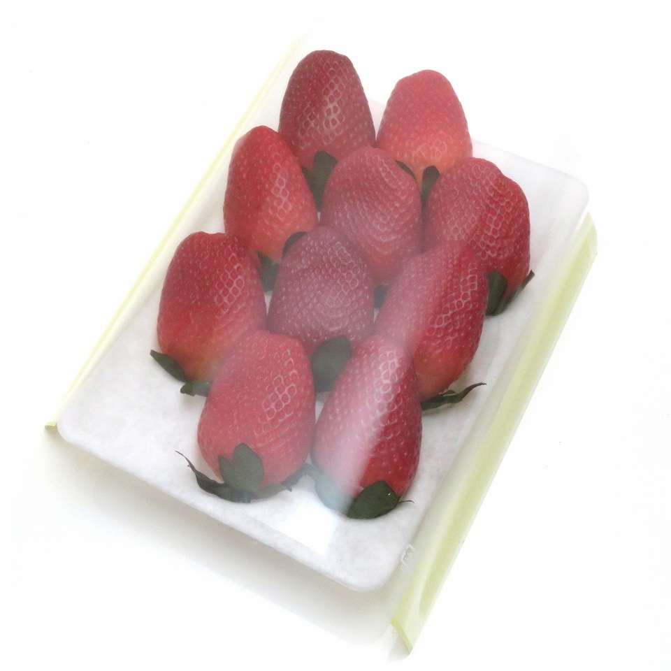 【屋号必須】イチゴ用　ハンモックトレー　10Ｈ（133×200㎜）　300枚/箱　お買得品！！