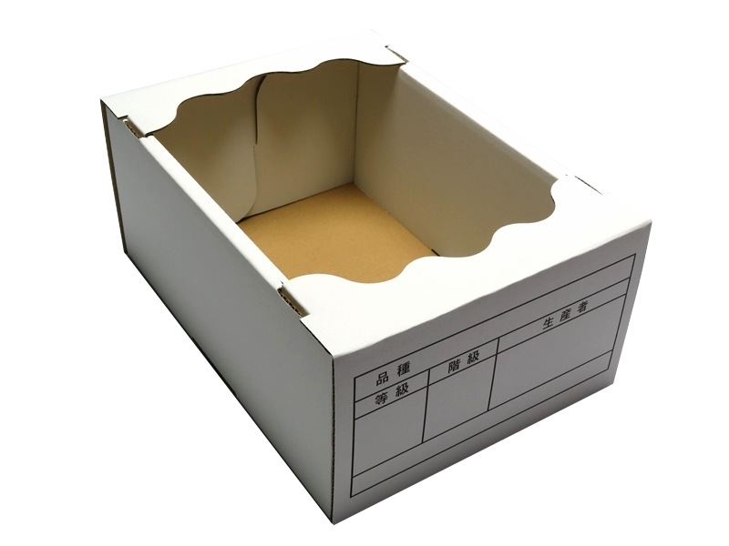 高級ぶどう化粧箱 OT-F2 葡萄 ライトグリーン　セット　50枚/セット