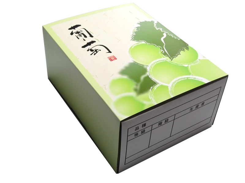 高級ぶどう化粧箱 OT-F2 葡萄 ライトグリーン　セット　50枚/セット