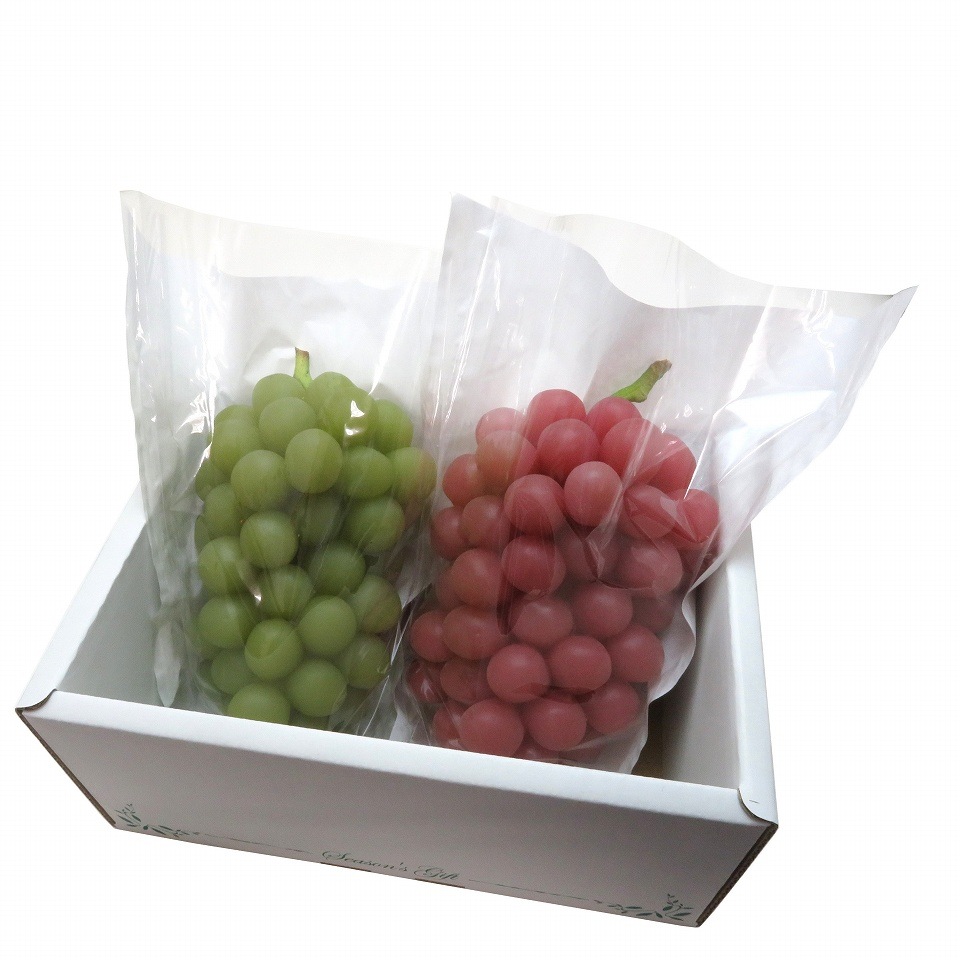 ぶどう 出荷用三角袋 中透明(セロハン部分の印刷無地) 100枚入 (紙、セロハン) 中房ぶどう用