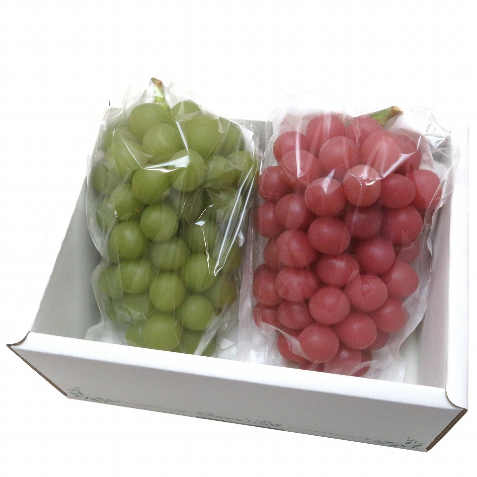 ぶどう 出荷用三角袋 中透明(セロハン部分の印刷無地) 100枚入 (紙、セロハン) 中房ぶどう用