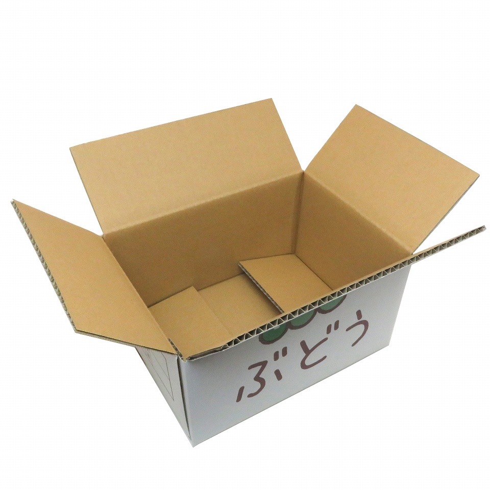 ぶどうA式タイプ 宅配専用箱 1.5サイズ 三色ぶどう（内寸19×26×高さ