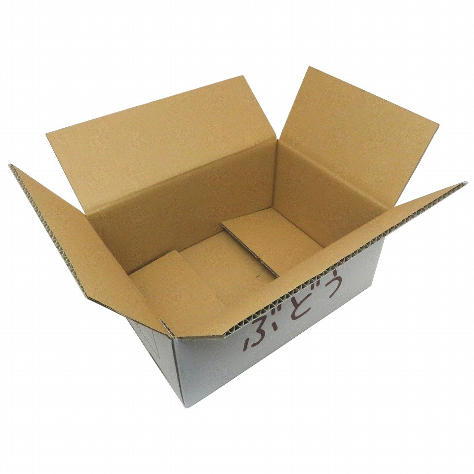 ぶどうA式タイプ 宅配専用箱 2.0サイズ 三色ぶどう（内寸23×33×高さ