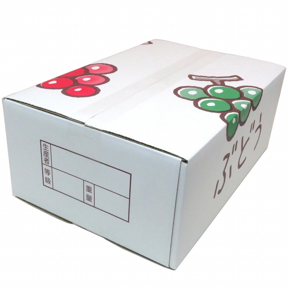 ぶどうA式タイプ 宅配専用箱 3.0サイズ 三色ぶどう（25×38×高さ14cm