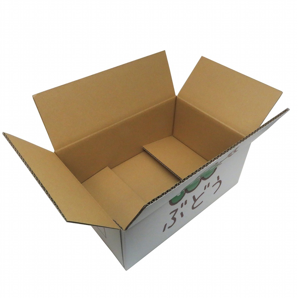 ぶどうA式タイプ 宅配専用箱 3.0サイズ 三色ぶどう（25×38×高さ14cm