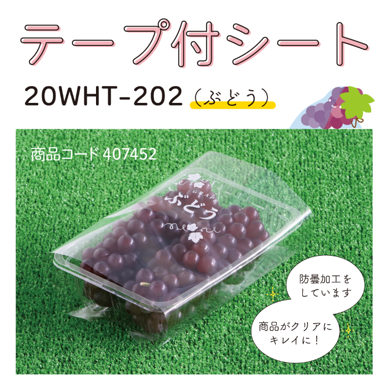 ぶどう10枚 mmb-rank.jpg
