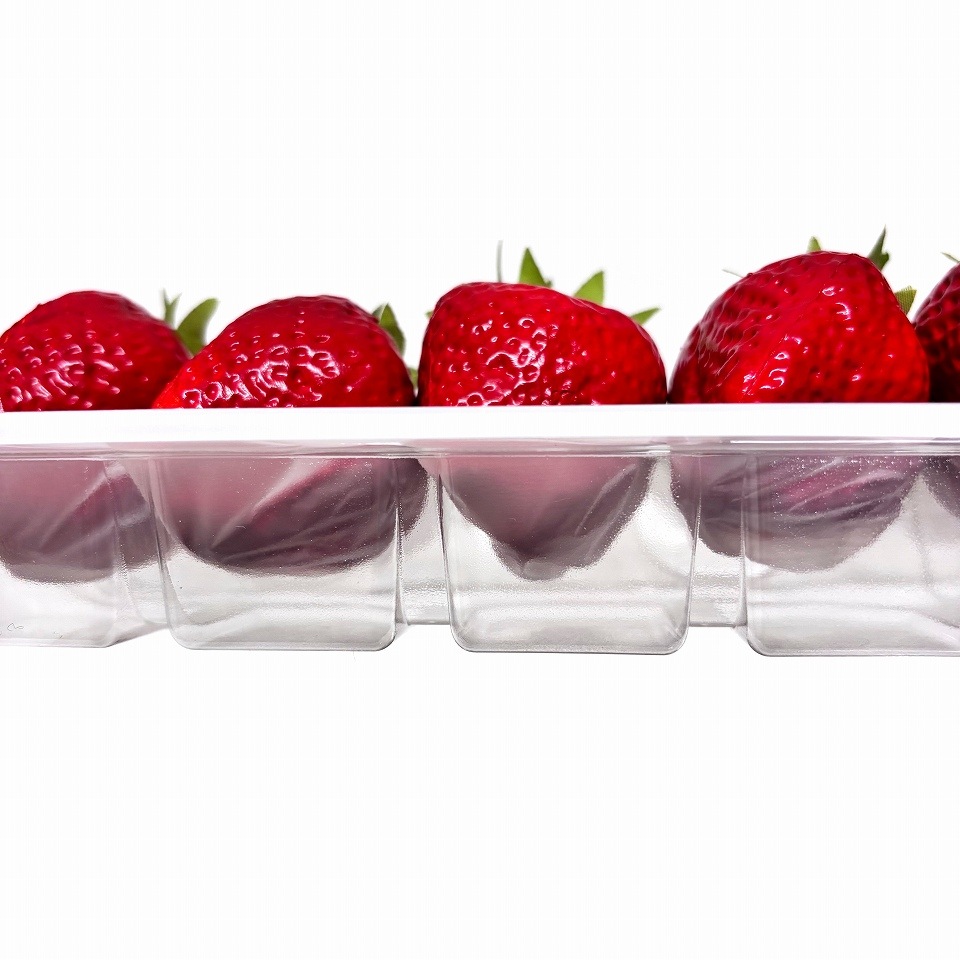 【屋号必須】イチゴ用　ゆりかーご　Aタイプ　18玉（189×248×53㎜）　114枚/箱　お試し用！