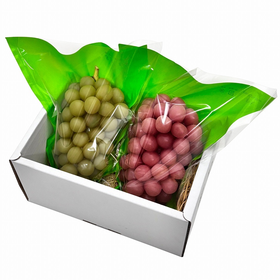 ぶどう出荷用三角袋カラー 特大透明 04(ライトグリーン)290/130×295(100枚)