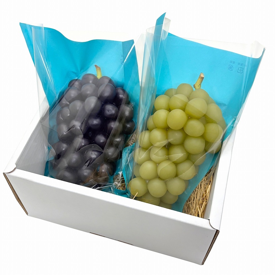 ぶどう出荷用三角袋カラー 特大透明 06(ターコイズ)290/130×295(100枚)