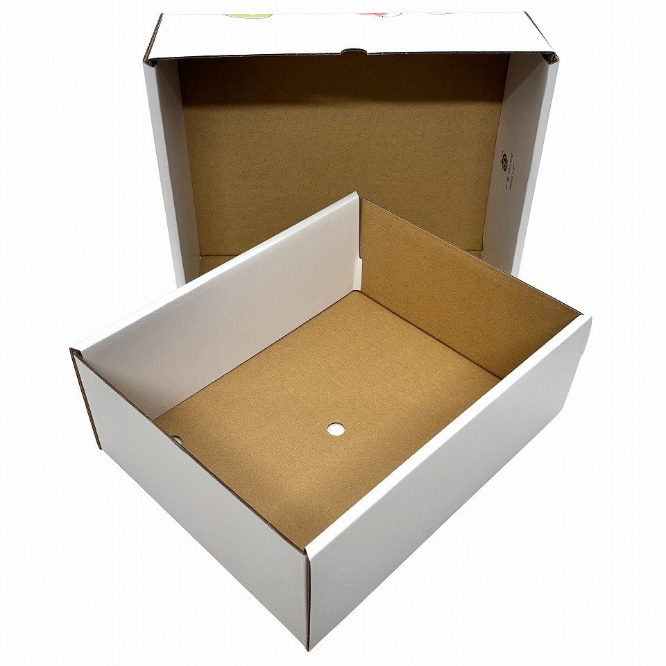 【おもてなし箱　小　40枚入】　果物箱　　贈答ケース　フルーツ詰め合わせ用　化粧箱（AA1303）