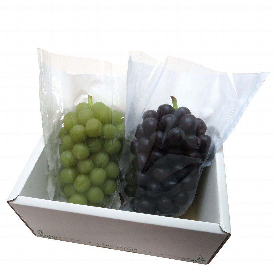 ぶどう 出荷用三角袋 特大ブルー(セロハン部分の印刷無地) 100枚入 (紙、セロハン) 大房 黒ぶどう用