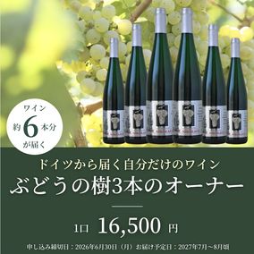 �ڥɥ��Ĥ����Ϥ��֤ۤɤ��μ�3�ܤΥ����ʡ�