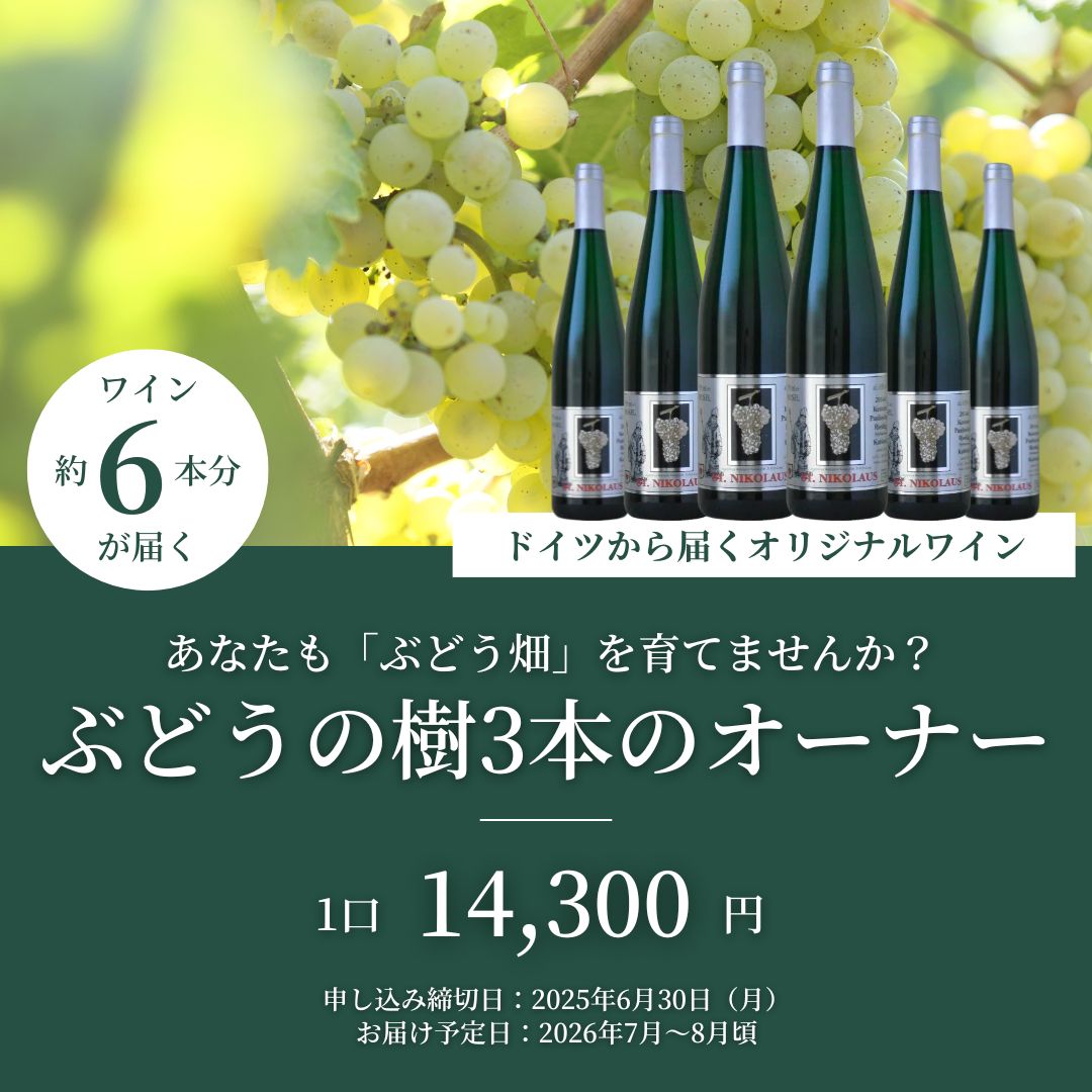 〆切済【ドイツから届く】ぶどうの樹3本のオーナー | すべての商品