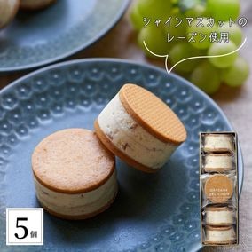 �ץ�ߥ���졼���󥵥�ɥ��åȡʲ���Ȣ�����