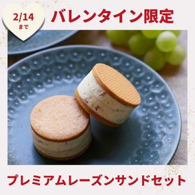 �ץ�ߥ���졼���󥵥�ɥ��åȡʲ���Ȣ�����