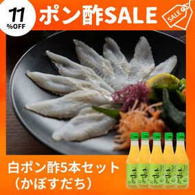 ��2�����SALE�ۡ����ܤ�����5�ܥ��å�