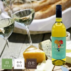 2025���򡡥ʥ������顡��