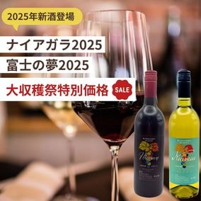 2025���Ҿ�¤����2��(����˥��å�