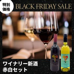 �ڥ֥�å��ե饤�ǡ����̲��ʡۡ�2025�����ܥ��å�