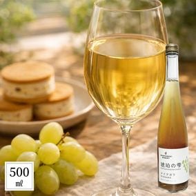 ����μ��ʥʥ������饸�塼����