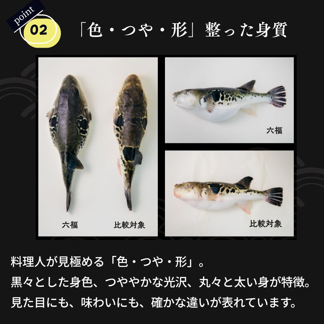 �դ��ɤ����饻�å�