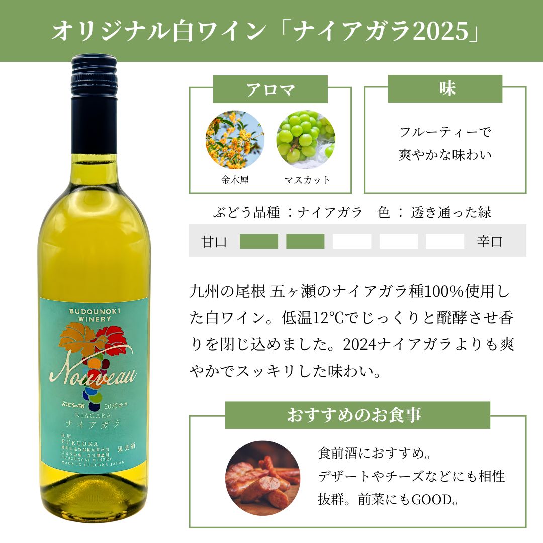 2025���򡡥ʥ������顡��