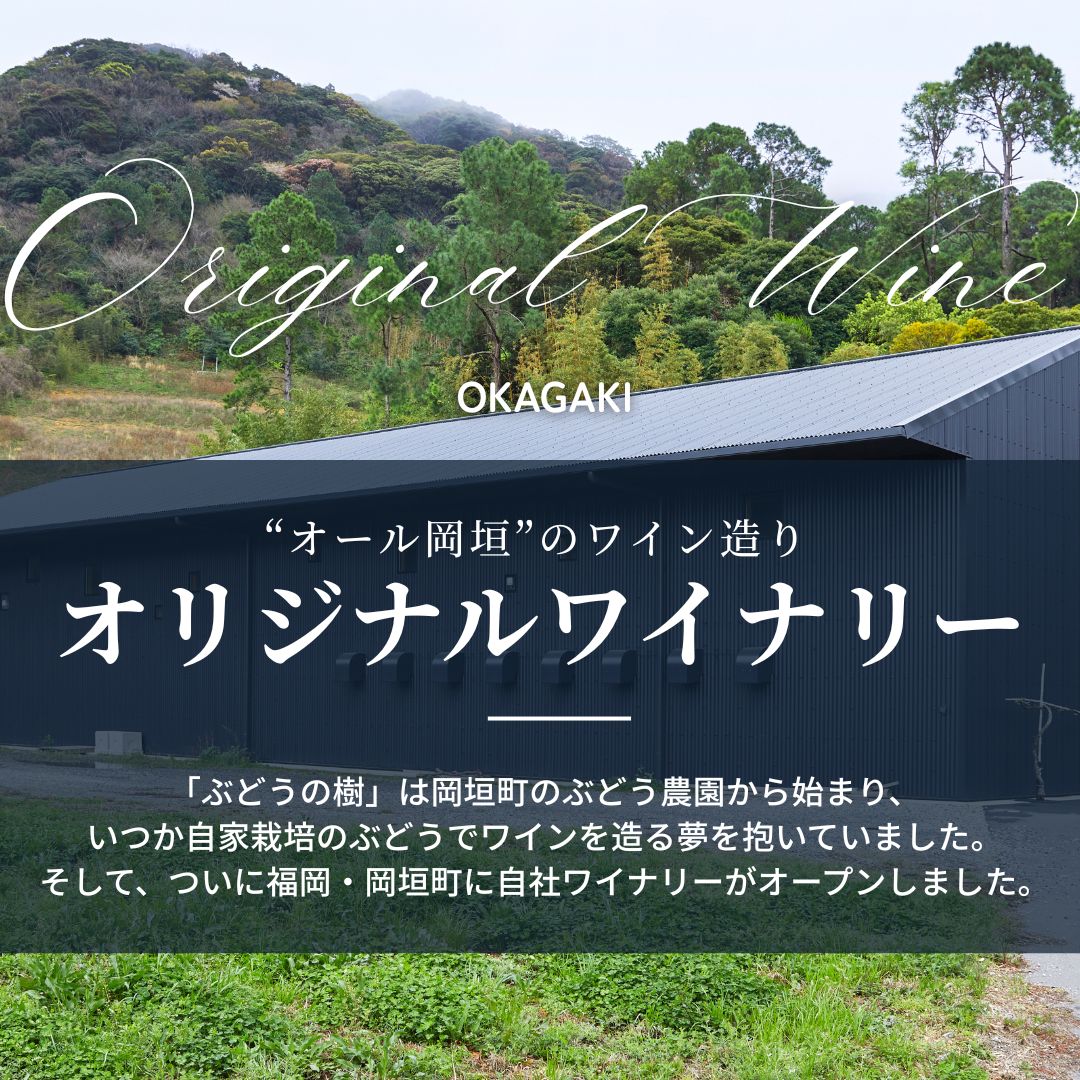 2025���򡡥ʥ������顡��