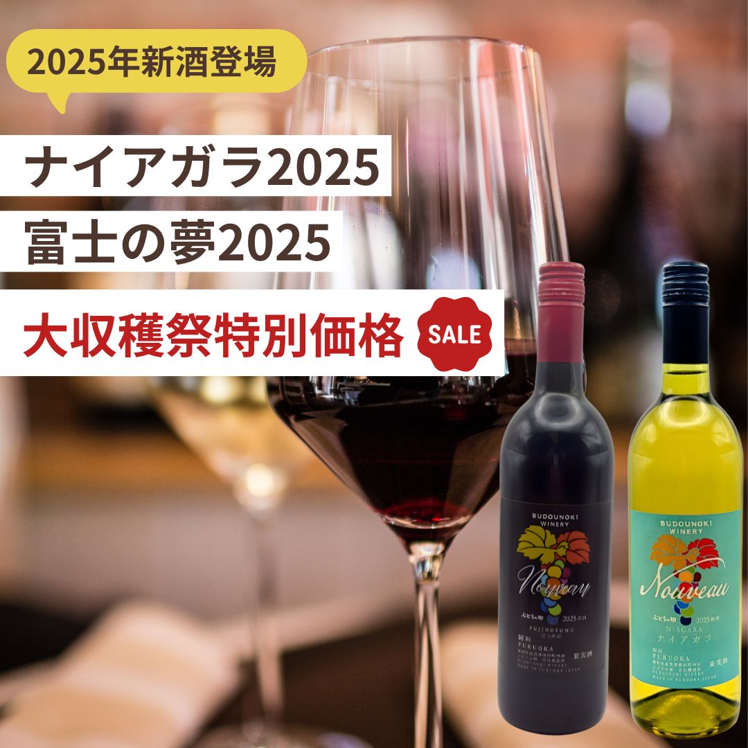 2025���Ҿ�¤����2��(����˥��å�