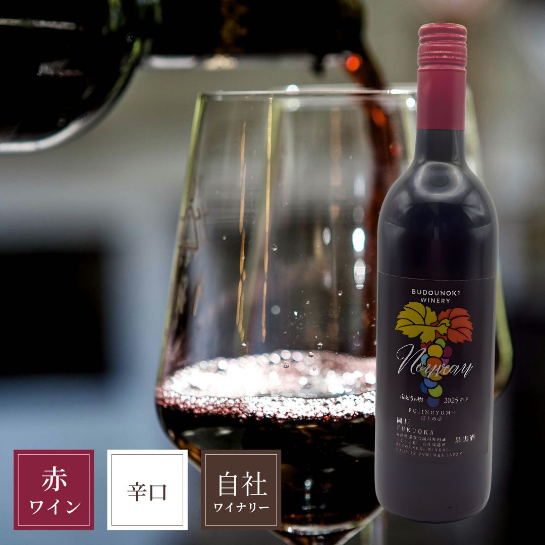 2025���Ҿ�¤����2��(����˥��å�