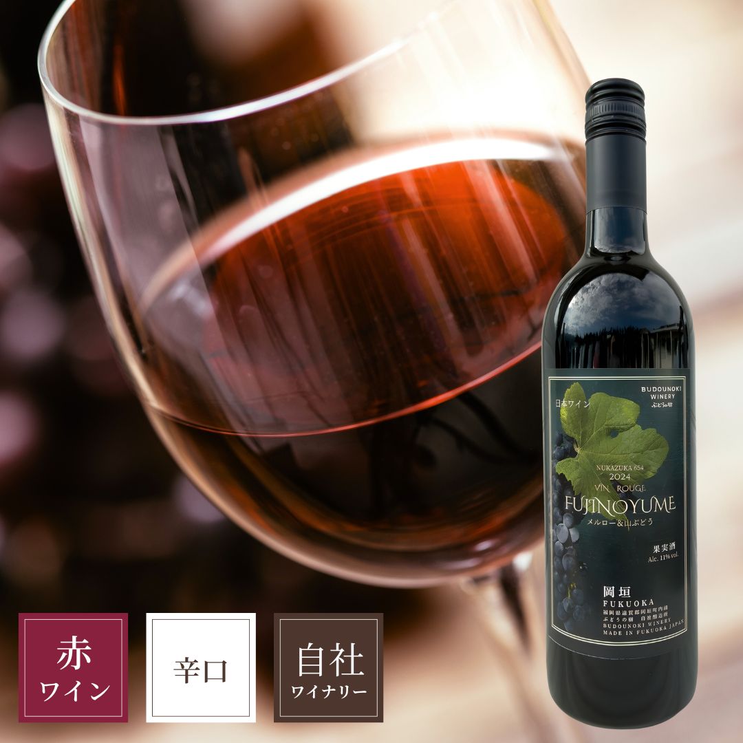 �ٻΤ�̴��2024