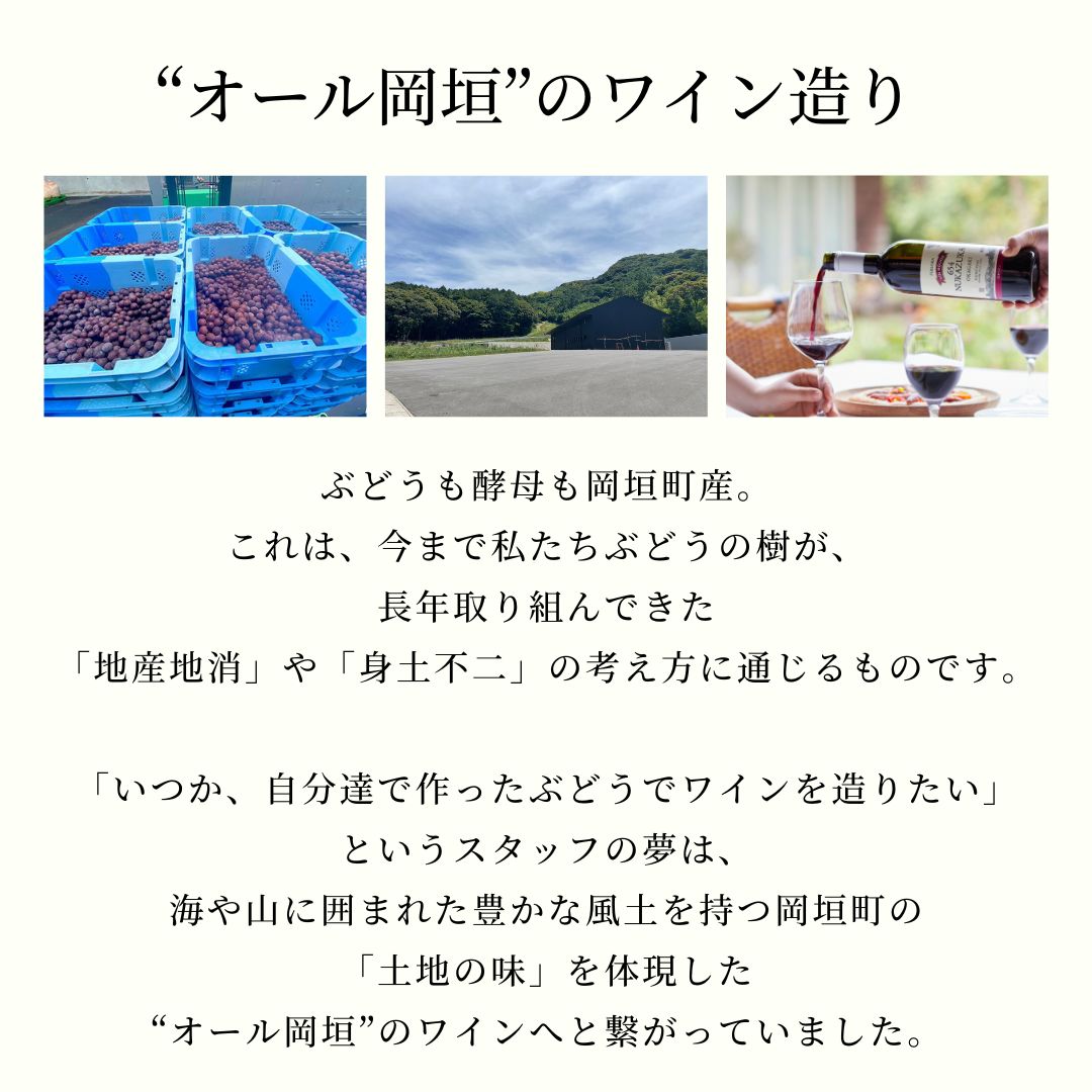 ���ꥸ�ʥ��֥磻��ֹ��͡�2025��