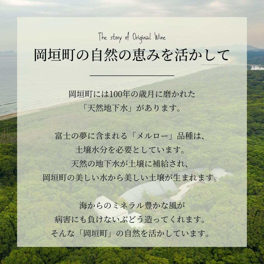 ���ꥸ�ʥ��֥磻��ֹ��͡�2025��