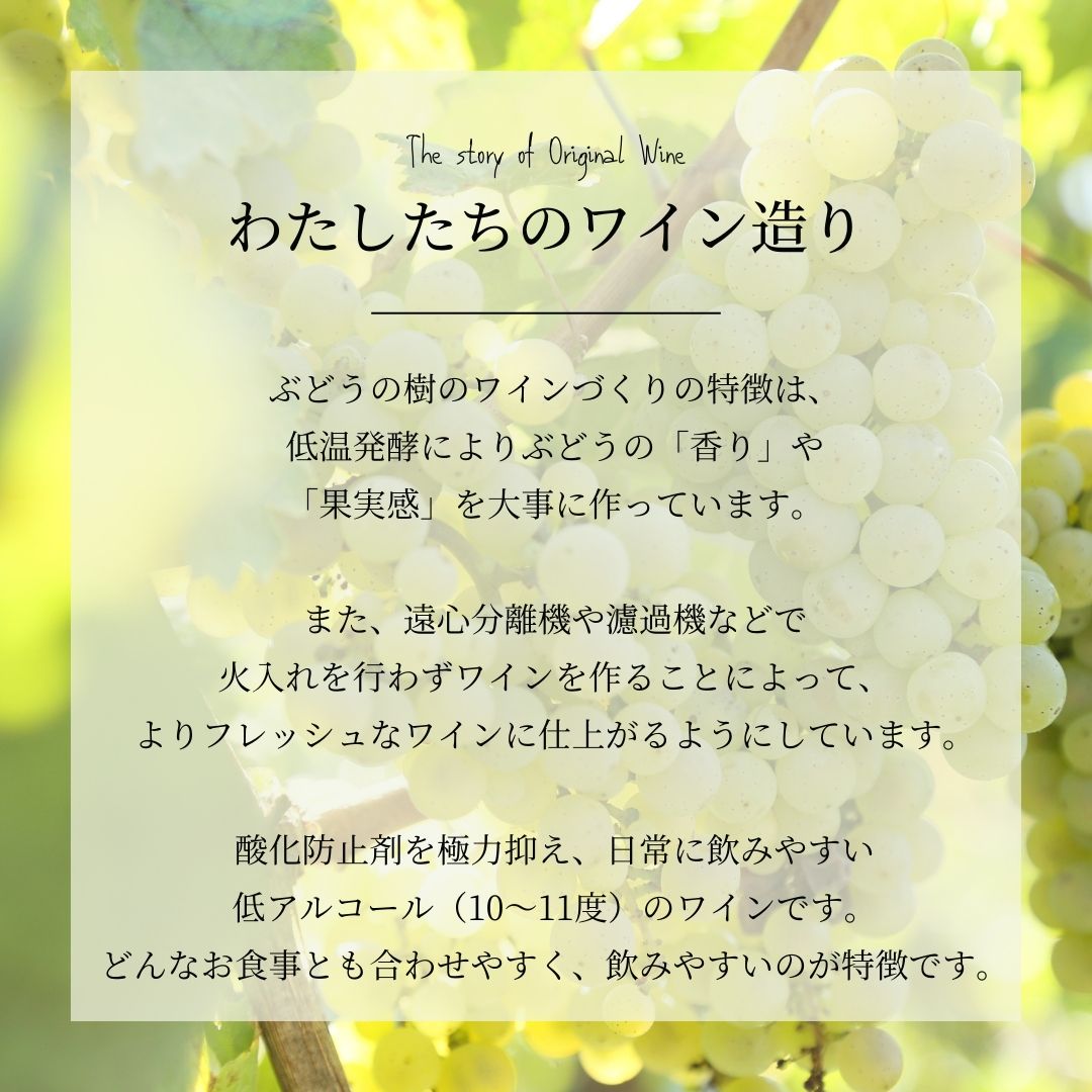 ���ꥸ�ʥ��֥磻��ֹ��͡�2025��