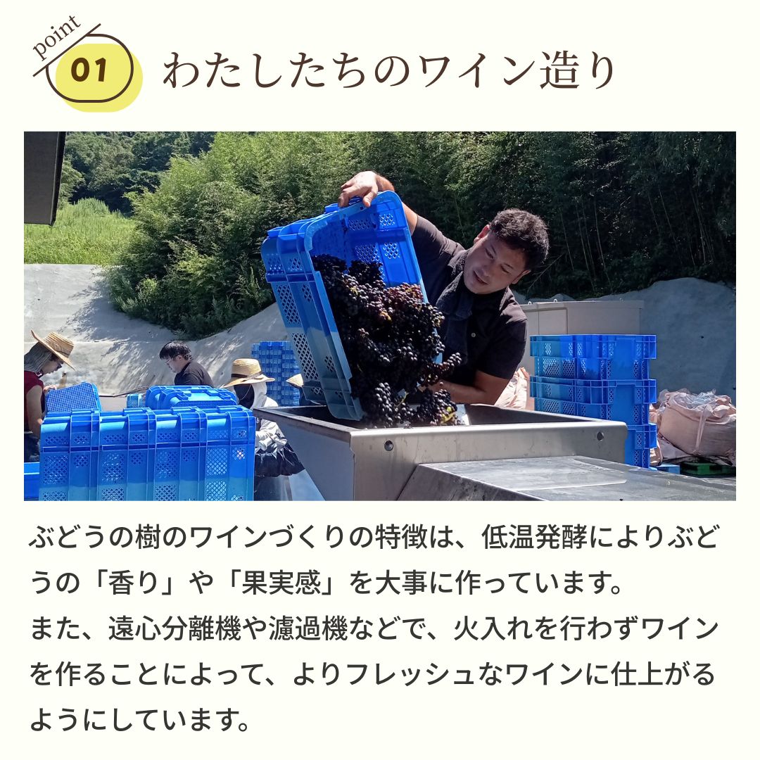 ���ꥸ�ʥ��֥磻��ֹ��͡�2025��