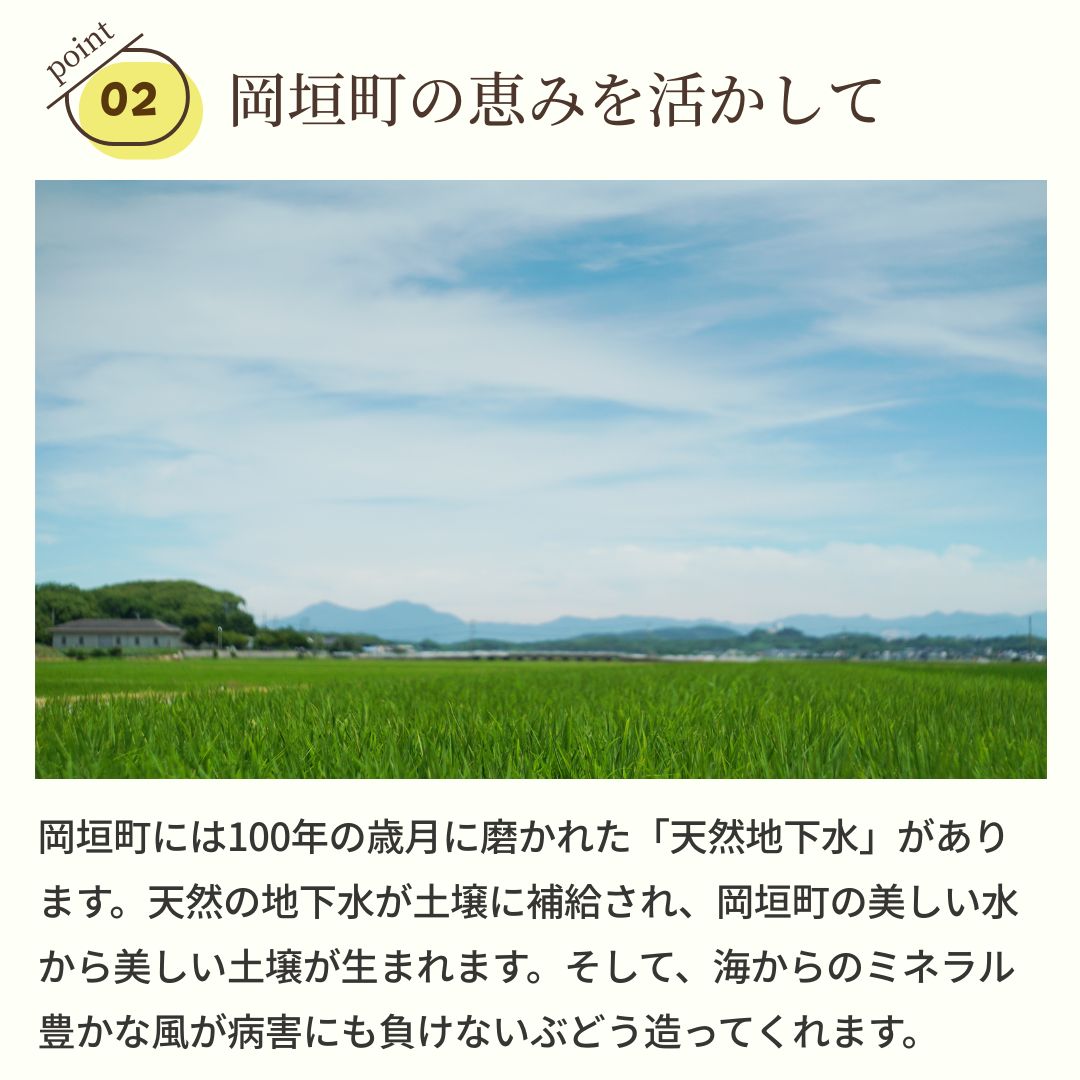 ���ꥸ�ʥ��֥磻��ֹ��͡�2025��
